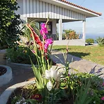 Reis Gaula Holiday home Santa Cruz (Madeira)