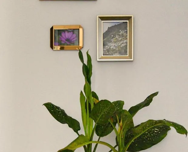 Reis Gaula 펜션 산타 크루즈