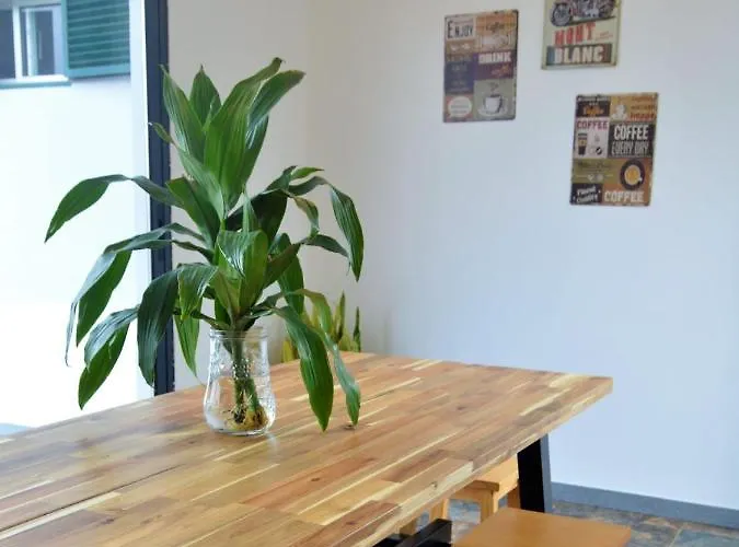 Reis Gaula * 산타 크루즈